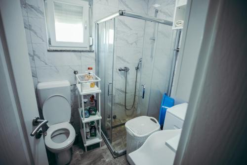 a bathroom with a shower and a toilet and a sink at Vila Odmor 