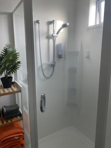 a shower with a glass door in a bathroom at Bunker on Belt in New Plymouth