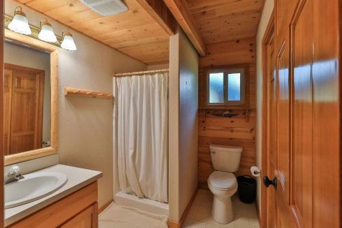 a bathroom with a toilet and a sink at Leavenworth Cabin 3 Mi to Lake Wenatchee Hot Tub! in Leavenworth