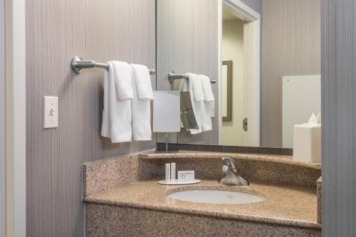 a bathroom with a sink and a mirror at Courtyard by Marriott Newark-University of Delaware in Newark