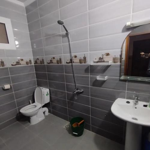 uma casa de banho com um WC, um lavatório e um chuveiro em appartement joliment meublé pour 4/5 personnes à Imzouren 