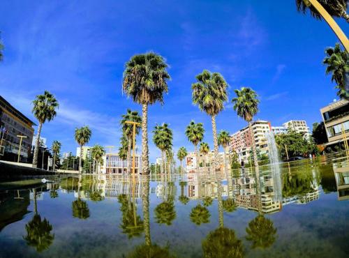 um reflexo de palmeiras numa piscina de água em StartApart City Center em Durrës
