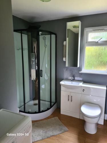 a bathroom with a shower and a toilet and a sink at The Reading whole chalet with lake and two acre gardens in Reading