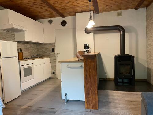 a kitchen with a wood stove in a room at Haus Silverfern in Förolach