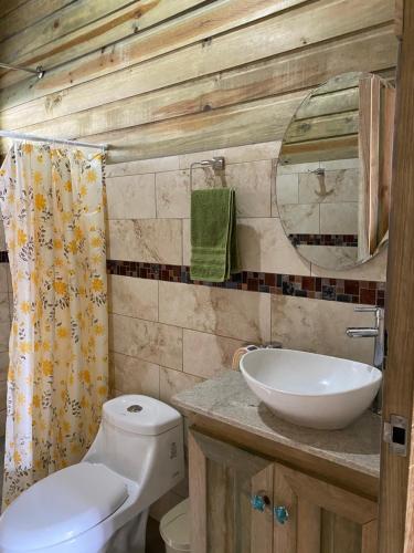 a bathroom with a toilet and a sink and a mirror at Cabaña ValFio Bahía Ballena in Uvita