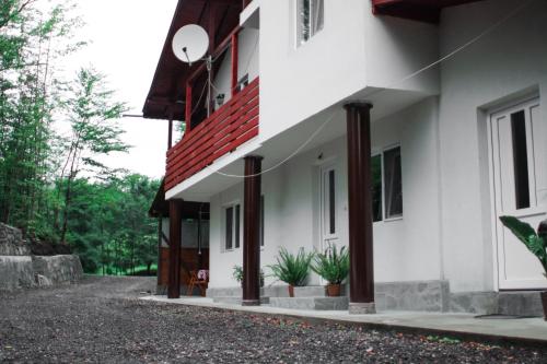 a white house with potted plants on the side of it at Pensiunea Dana-Maria in Siriu