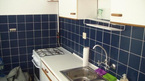 eine kleine Küche mit einer Spüle und einem Herd in der Unterkunft Apartament Kozia I in Danzig