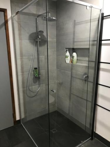 a bathroom shower with a glass shower stall at Valley Views in Montrose