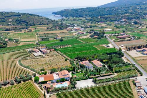 an aerial view of a vineyard with a house and a village at Azienda Agricola Sapereta in Porto Azzurro