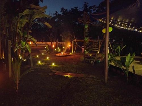 a garden at night with lights in the grass at Nomada Hostel in Leticia