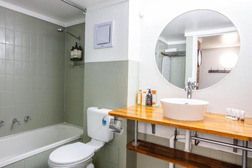a bathroom with a sink and a toilet and a mirror at Alpine Gables 11 2 Clyde Street in Jindabyne