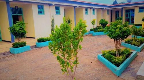 a courtyard with trees and blue planters in front of a building at Wayu Nova Guesthouse in Bulbula