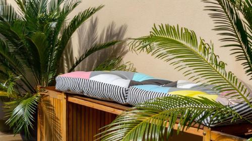 a bunch of pillows sitting on a wooden shelf with plants at central park boutique apartment in Armidale