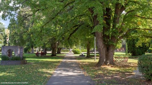 a path in a park with a bunch of trees at central park boutique apartment in Armidale