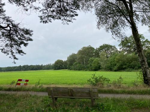 a park bench sitting in the grass near a field at Tiny house 't Heidehoes in Usselo in Enschede