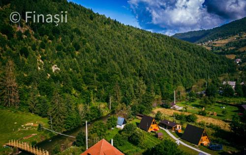 an aerial view of a small village in a mountain at Finașii in Albac