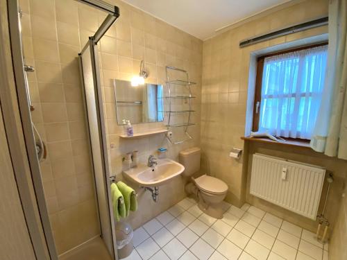 a bathroom with a sink and a toilet and a mirror at Ferienwohnung Waldesruhe 303 Hauzenberg in Hauzenberg