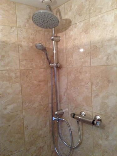 a shower with a shower head in a bathroom at La Perruche Holiday Gite in Heussé