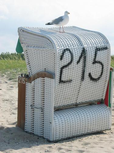 a bird sitting on top of a wicker chair on the beach at Sandkorn 1 in Wilhelmshaven