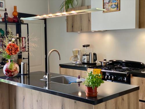 a kitchen with a sink and a stove at Tiziana's Herberg in Zierikzee