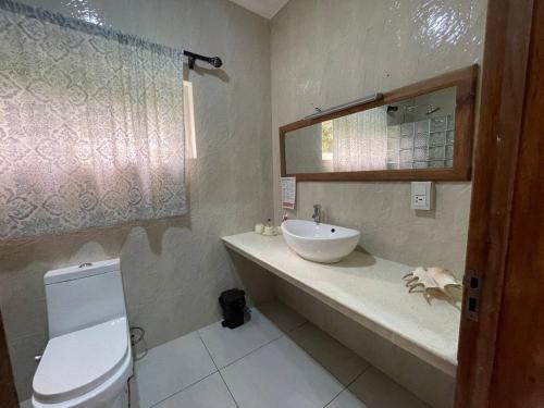 uma casa de banho com um lavatório, um WC e um espelho. em Marie-France Beach Front Apartments em La Digue
