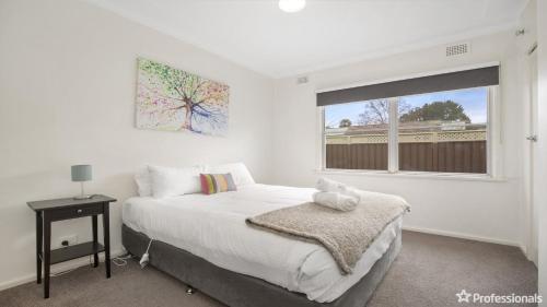 a white bedroom with a bed and a window at Costa Park Cottage Dio in Armidale