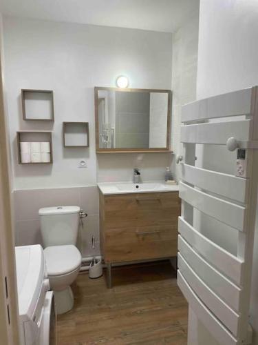 ein Badezimmer mit einem WC, einem Waschbecken und einem Spiegel in der Unterkunft Appart T2 bien équipé avec tram t1 et commodités à proximité 13 min du centre de Nantes in Saint-Herblain