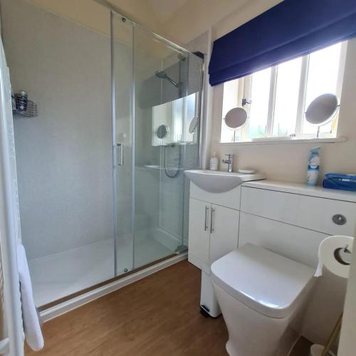 a bathroom with a shower and a toilet and a sink at Kings Head in North Lopham