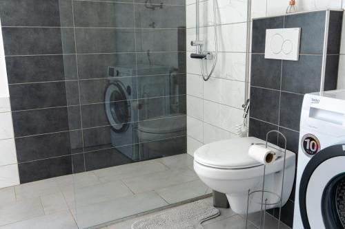 a bathroom with a toilet and a shower at Apartment Ivana Krško in Krško