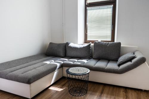 a couch in a living room with a window at Apartment Ivana Krško in Krško