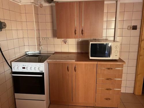 kuchnia z kuchenką i kuchenką mikrofalową na ladzie w obiekcie Apartmány U sjezdovky Janské Lázně w Jańskich Łaźniach