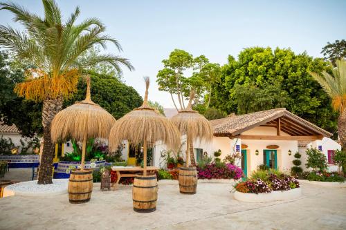 塔里法的住宿－Dunas Luxury Beach Resort Tarifa，有一捆桶子和棕榈树的房子