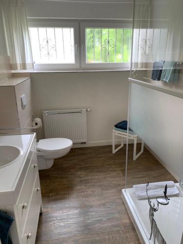 a bathroom with a toilet and a sink and two windows at Ferienwohnung Amselnest in Lügde