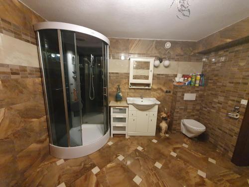 a bathroom with a shower and a sink and a toilet at Pokoj v zahradě in Hazlov
