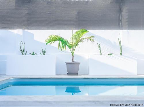 Piscine de l'établissement Chez Ti'Patrick ou située à proximité