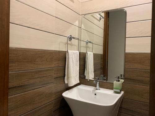 ein Bad mit einem Waschbecken und einem Spiegel in der Unterkunft 3 Bedroom villa with Private Pool in North Goa in Assagao