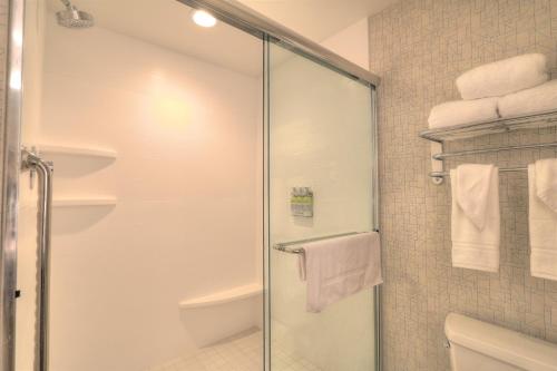Bagno di Holiday Inn Express Hotel & Suites Mobile Saraland by IHG