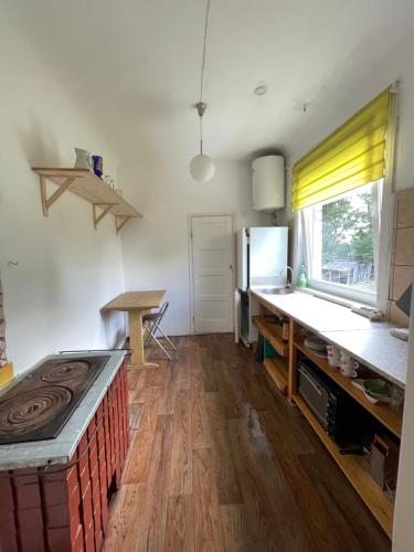 a kitchen with a counter and a table in it at Kamene in Augšlīgatne