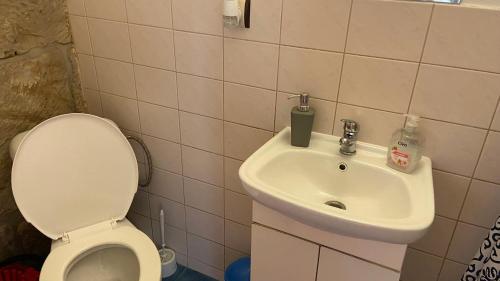 a bathroom with a toilet and a sink at Penzion Bamako in Chřibská