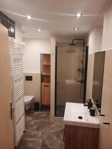 Bilik mandi di Apartman U Adamov
