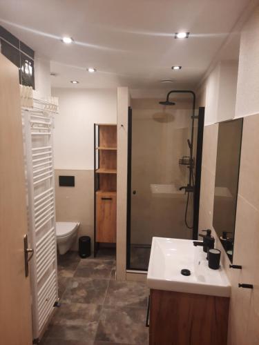 a bathroom with a sink and a shower and a toilet at Apartman U Adamov in Liptovský Mikuláš