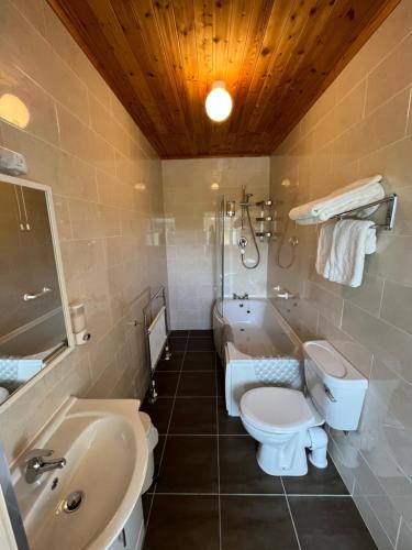 e bagno con servizi igienici, lavandino e vasca. di Faul House a Clifden