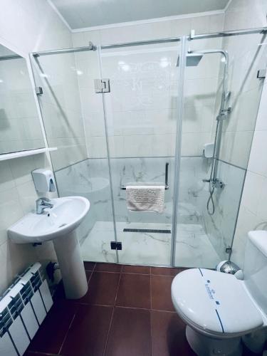 a bathroom with a shower and a toilet and a sink at Kharkovlux in Kharkiv