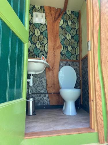 a bathroom with a toilet and a sink at Ecostay de Wildernis in Wilp
