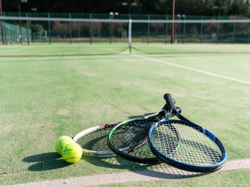 two tennis rackets and two tennis balls on a tennis court at GLAMP ELEMENT(グランエレメント） in Maibara