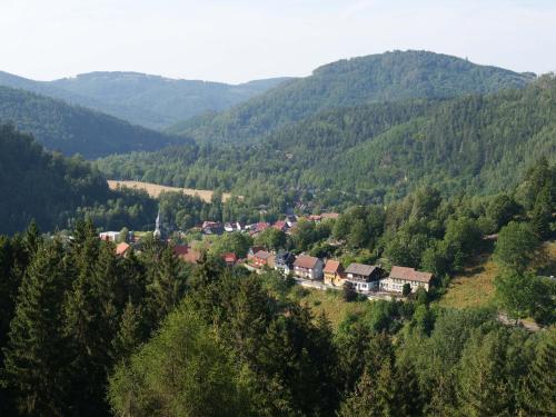 eine Gruppe von Häusern in einem Tal mit Bergen in der Unterkunft Historisches Hotel Rathaus in Lautenthal