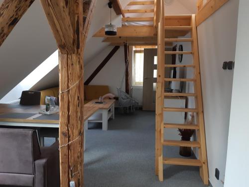 a room with a loft bed and a desk at Chalupa u Rádlů in Domažlice