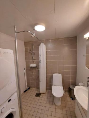 La salle de bains est pourvue de toilettes, d'une douche et d'un lavabo. dans l'établissement Kotimaailma - Tyylikäs kolmio Tikkurilassa, à Vantaa