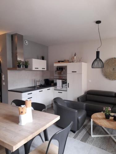 Η κουζίνα ή μικρή κουζίνα στο Apparts Et Lofts Bistrot Des Alpilles