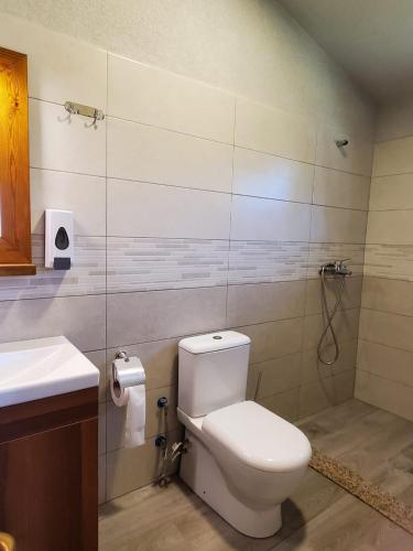 a bathroom with a toilet and a sink at Sirena Agroturizem in (( Stan i Ri ))